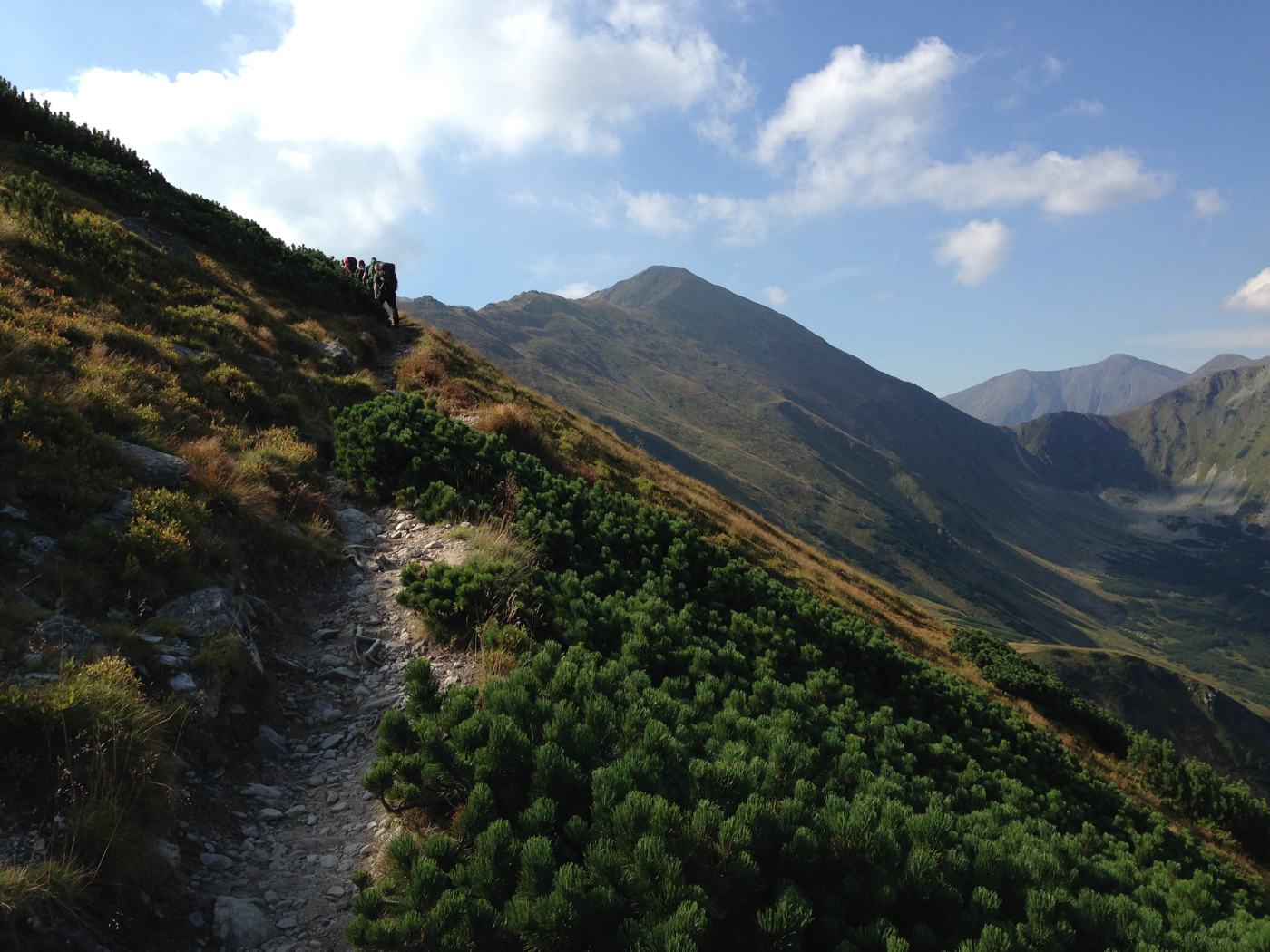 Mountain trail